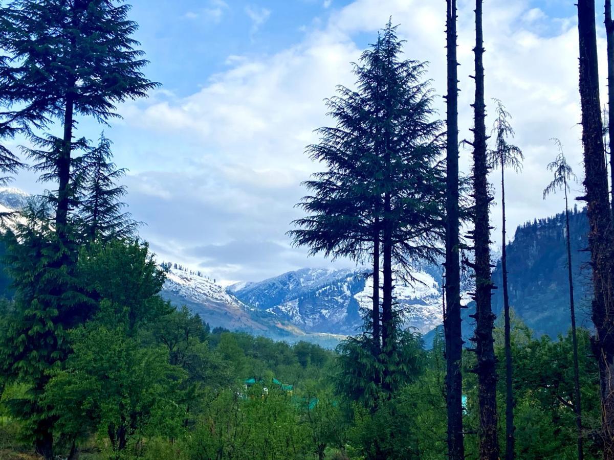 Getaway Stays Manali Exteriör bild